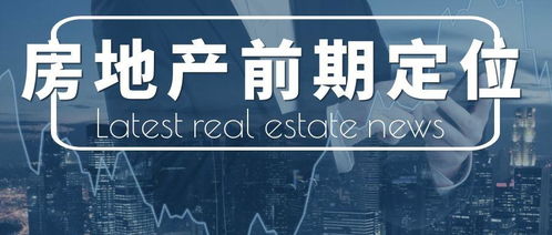 房地产前期定位资源专题 81例实战解析与营销策划核心策略