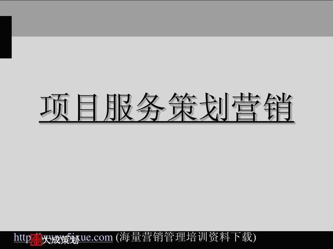房地产项目服务策划营销ppt